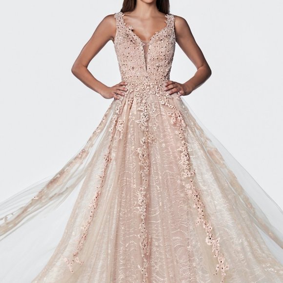 Cinderella Dresses & Skirts - V-Neck A-Line Lace Evening Dress CD4091